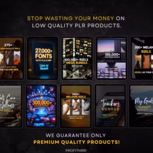 2025 Marketing Planner PLR & MRR, Canva Templates, Social Media Planner, Instagram Content Planner, Plr Planners, Pinterest Pin Planner Plr